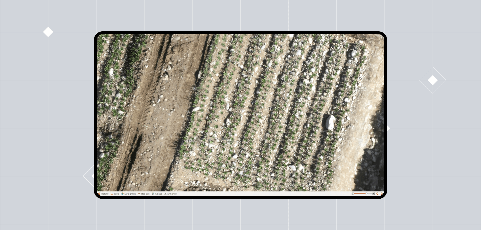 Interactivated solutions case study banner